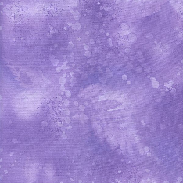 Fossil Fern African Violet