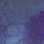 Fossil Fern Blueberry Jam