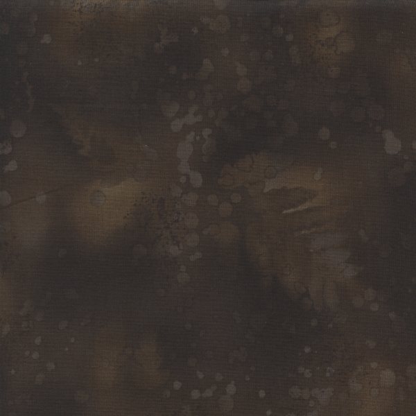 Fossil Fern Charred Wood