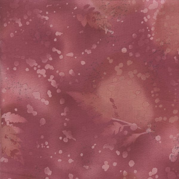 Fossil Fern Clay Red