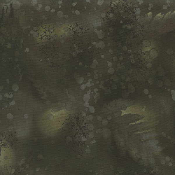 Fossil Fern Deepest Moss