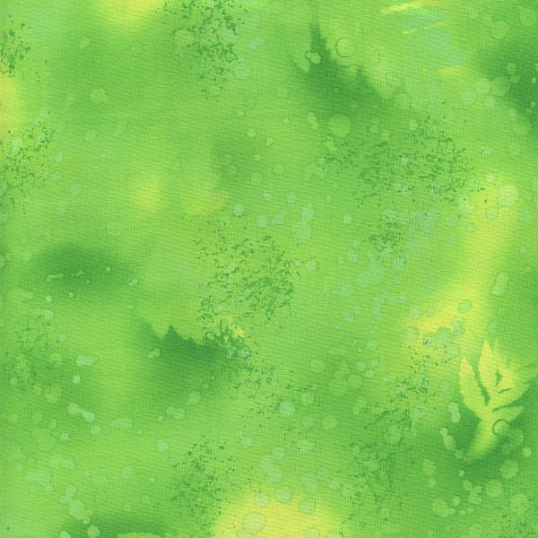 Fossil Fern Lime Aid