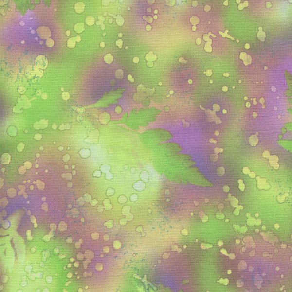 Fossil Fern Lime House