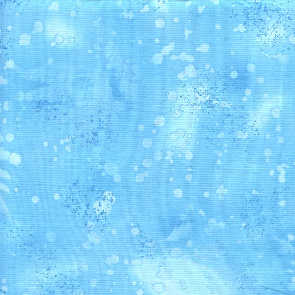 Fossil Fern Paris Sky