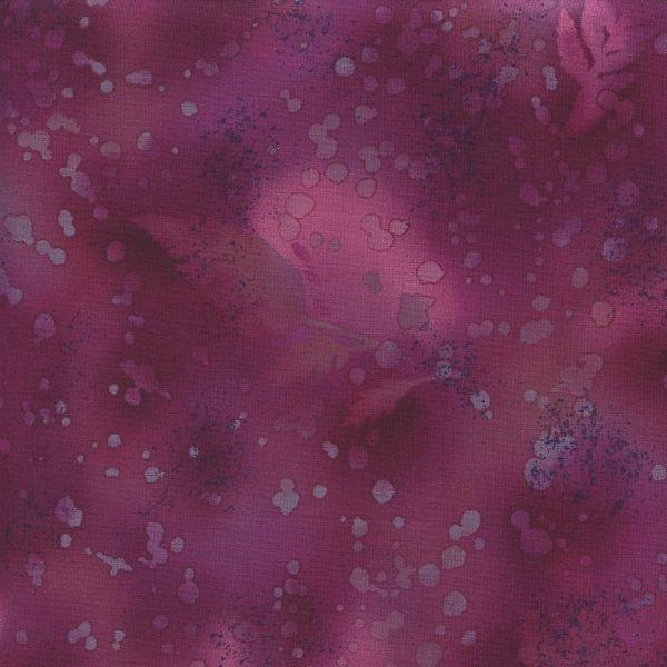 Fossil Fern Raspberry Slush