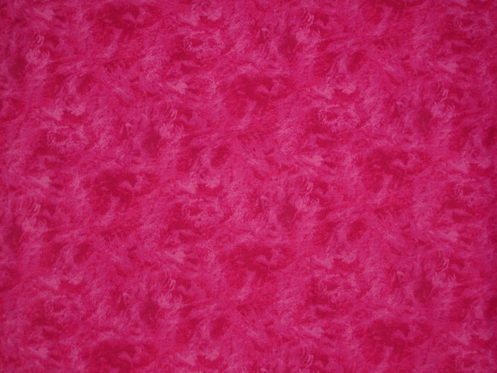 The Gallery - Illusions