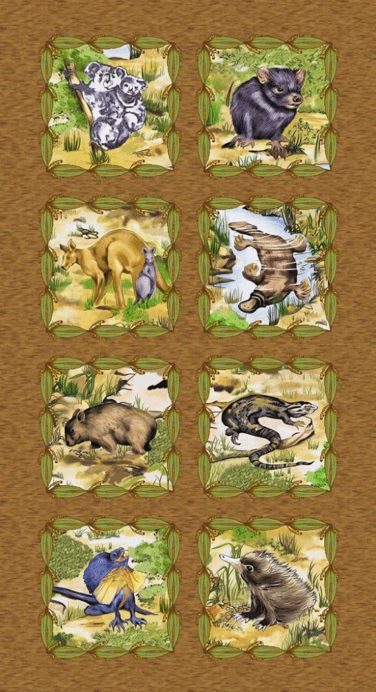 Burrangong Creek Wildlife