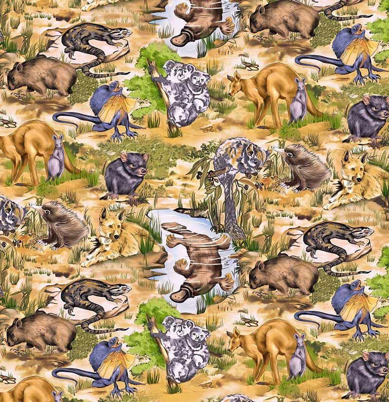 Burrangong Creek Wildlife