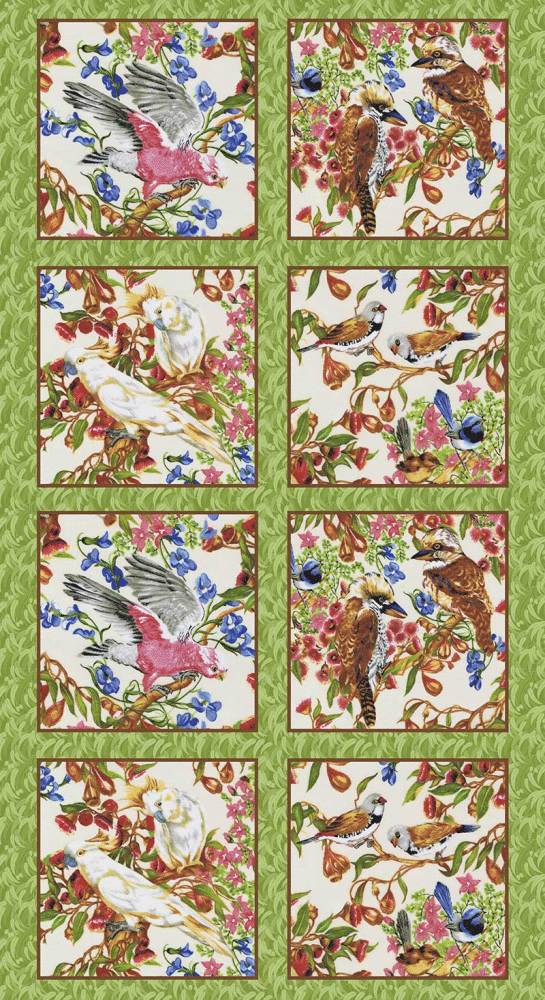 Burrangong Creek Birdlife