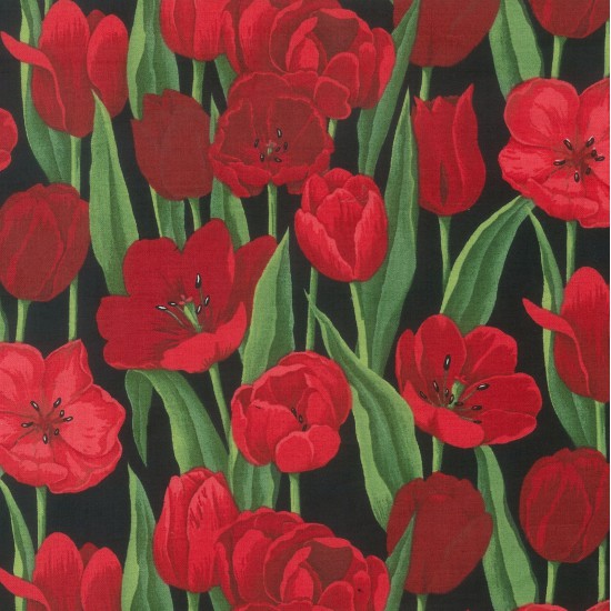 Tulips