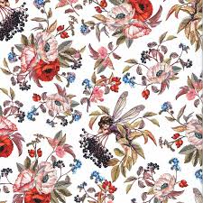 Elderberry Flower Fairies