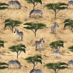 African Safari 