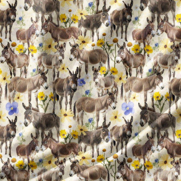 Donkey Wildflower Homestead Hoofprints